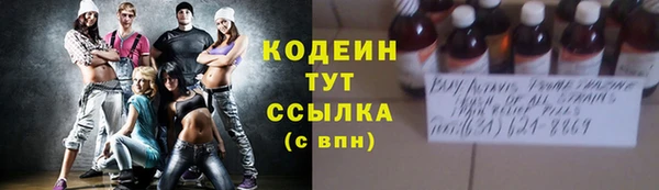 винт Лабытнанги