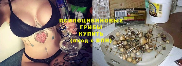 крисы Волгодонск