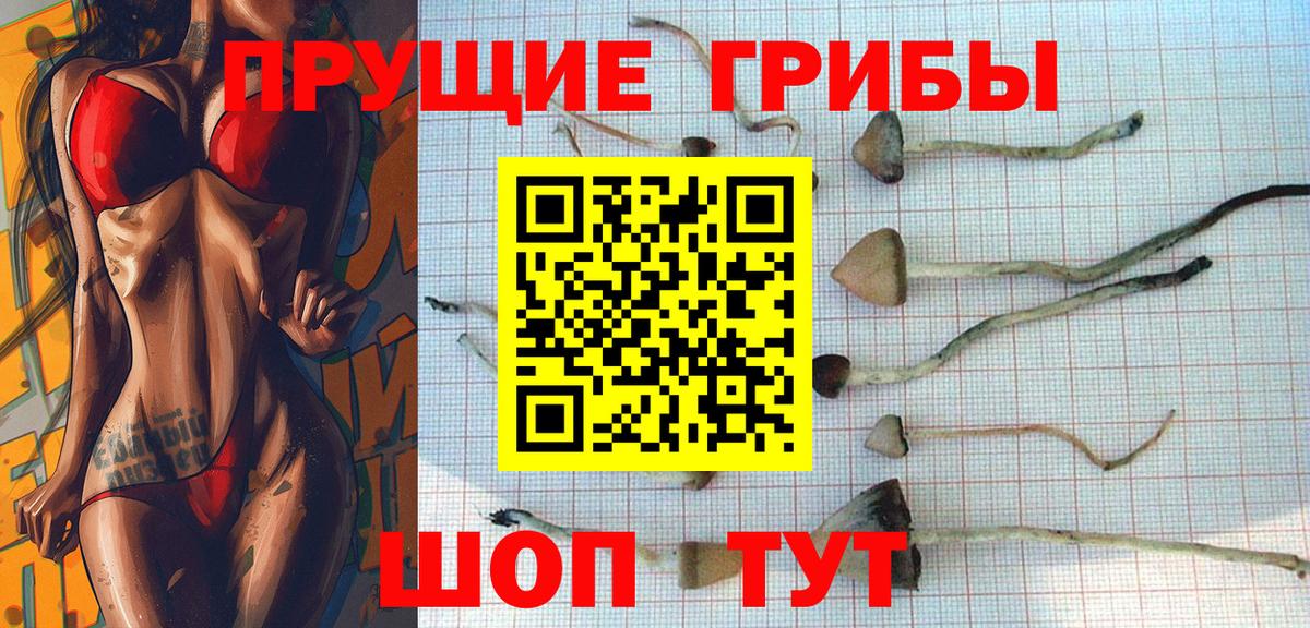 Галлюциногенные грибы Psilocybine cubensis Чусовой