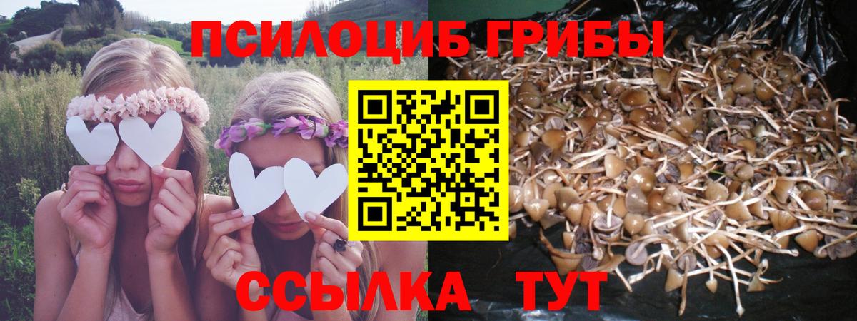 Каннабис  Чусовой  ЭКСТАЗИ  Cocaine  Лсд 25  Меф МЯУ МЯУ кристаллы  ГАШИШ  Вход с VPN  МЕТАДОН  Меф 